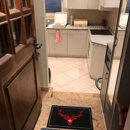 Nina With Garage Direct Train To Zermatt *