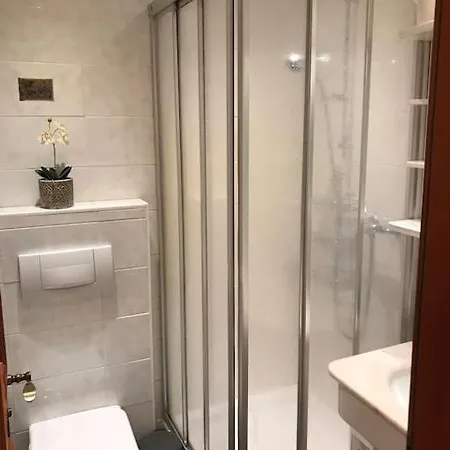 Nina With Garage Direct Train To Zermatt 公寓 *